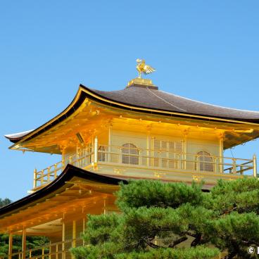 Kinkaku-ji (Kyoto), View of the Golden Pavilion's roof in October 2021 (after renovation)