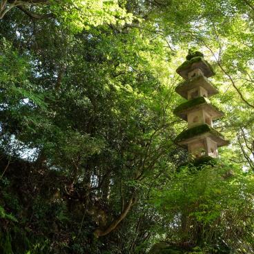 Kosho-ji (Uji), Vegetation and stone lantern