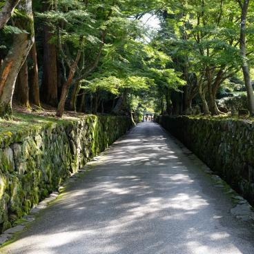 Kosho-ji (Uji), Koto-zaka maple trees alley