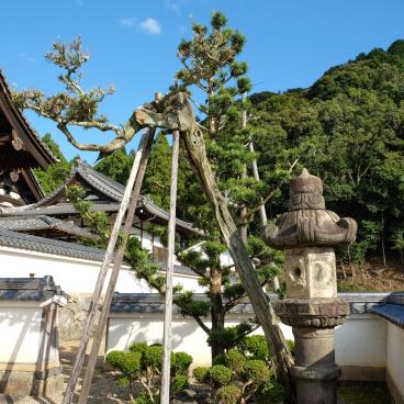 Kosho-ji (Uji), Detail of the garden