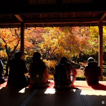 Enko-ji, View on Jyu-gyu no niwa garden in autumn 2