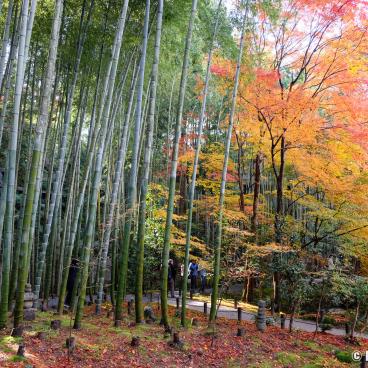 Enko-ji, Ohkyo-chikurin bamboo grove