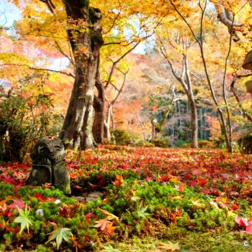 Enko-ji, Warabe-jizo statue