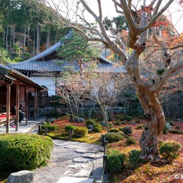 Enko-ji, View on Jyu-gyu no niwa garden in autumn