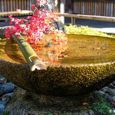 Enko-ji, Suikinkutsu fountain decorated with a maple branch