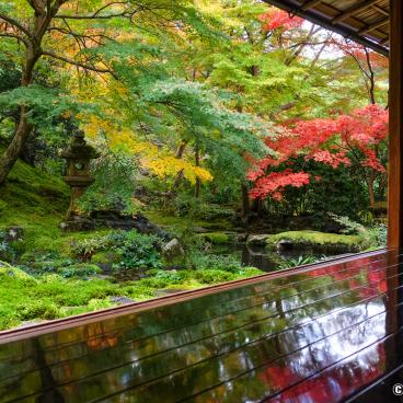 Ruriko-in, Garyo-no-niwa garden in autumn