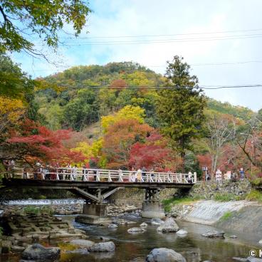 Yase area, Takano River and red mapple trees near Ruriko-in 2