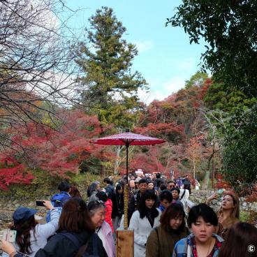 Yase area, Waiting line for Ruriko-in in autumn
