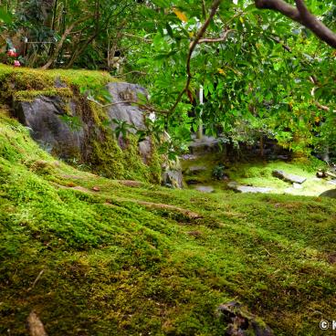Ruriko-in, Yamaroji-no-niwa garden