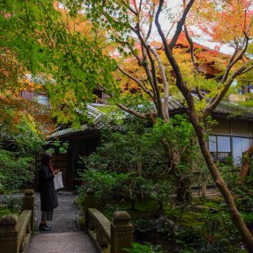 Ruriko-in, Path to the main pavilion's entrance in autumn 2