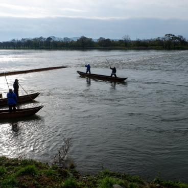 Murakami (Niigata), Traditional net fishing on Miomote River 2