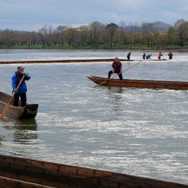 Murakami (Niigata), Traditional net fishing on Miomote River