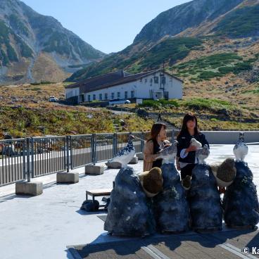 Murodo, Bus terminus and entrance to the mountain
