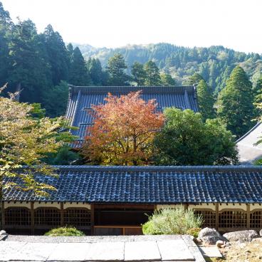 Eihei-ji (Fukui), View on the temple's roofs and the forest in autumn