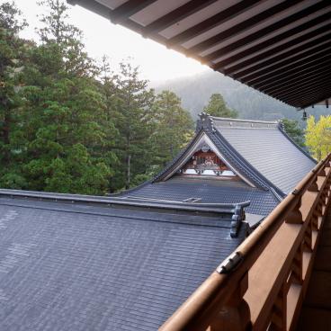 Eihei-ji (Fukui), View on the temple's roofs and the forest