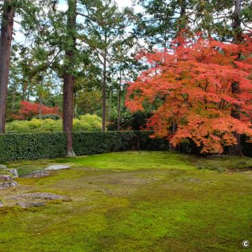 Entsu-ji (Kyoto), View on the dry garden in autumn