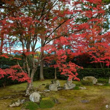 Entsu-ji (Kyoto), View on the dry garden in autumn 2