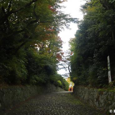 Shinnyo-do (Shinshogokuraku-ji), Paved alley toward the entrance of the temple