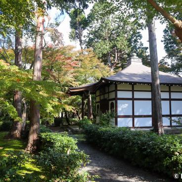 Shinnyo-do (Shinshogokuraku-ji), View on the temple's pavilions