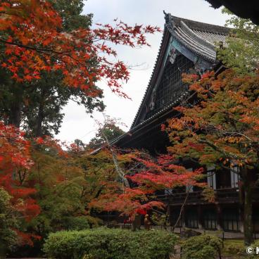 Shinnyo-do (Shinshogokuraku-ji), View on the red maple trees and the temple's pavilions