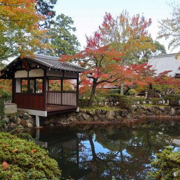 Shinnyo-do (Shinshogokuraku-ji), Pond and autumn foliage