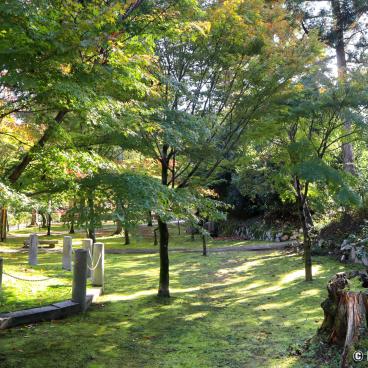 Shinnyo-do (Shinshogokuraku-ji), View on the maple trees and the moss beds