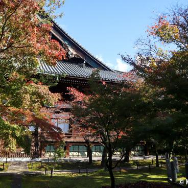 Shinnyo-do (Shinshogokuraku-ji), View on the red maple trees and the temple's pavilions 2