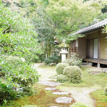 Manshu-in (Kyoto), View on the garden in summer