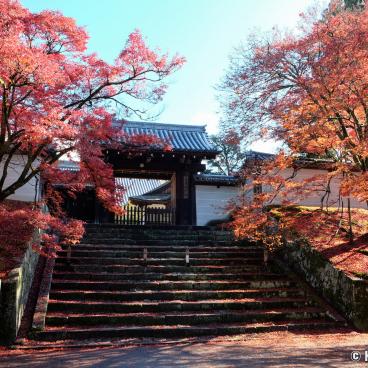 Manshu-in (Kyoto), Chokushi-mon gate in autumn