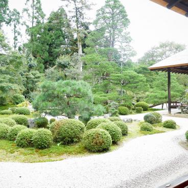 Manshu-in (Kyoto), Koshoin view of the dry garden in summer