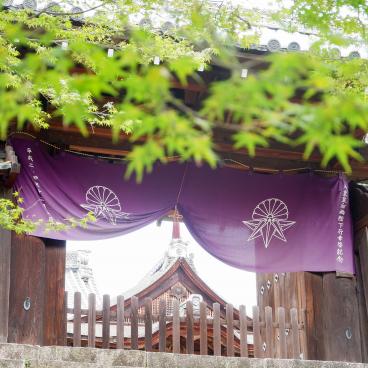 Manshu-in (Kyoto), Green maple trees in summer and pavilions