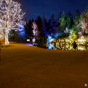 Sendai Royal Park Hotel (Miyagi), Winter illuminations in the garden