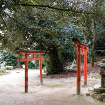 Shirahige-jinja, Torii gates in the shrine's grounds
