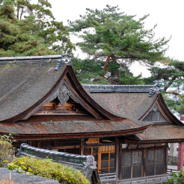 Shirahige-jinja, Honden main hall 3