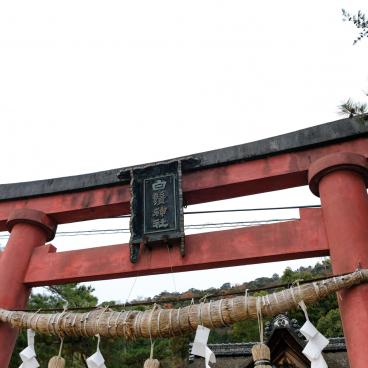 Shirahige-jinja, Detail of a torii gate and a shimenawa sacred cord