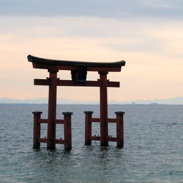 Shirahige-jinja, Floating torii on Lake Biwa 3