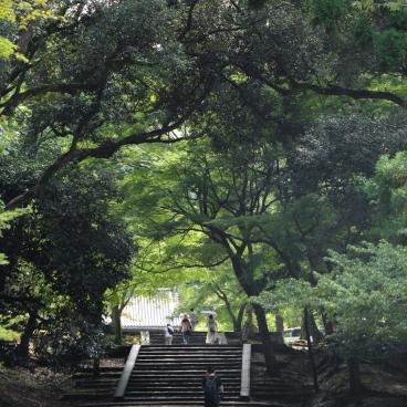Tamukeyama Hachiman-gu, Alley in the shrine's grounds