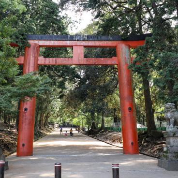 Tamukeyama Hachiman-gu, Main torii gate and entrance of the shrine