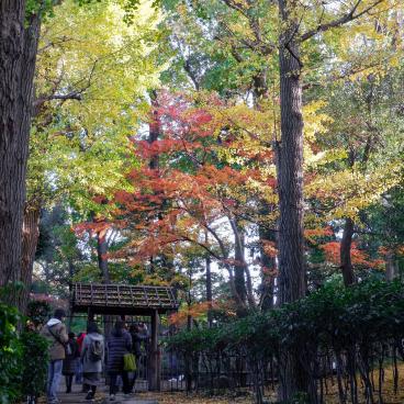 Otaguro Park (Tokyo), Entrance of the Japanese garden in autumn