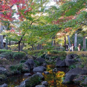 Otaguro Park (Tokyo), Water stream and maple trees of the Japanese garden in autumn