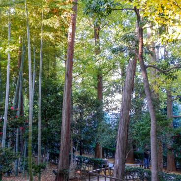 Otaguro Park (Tokyo), Alley of the Japanese garden in autumn