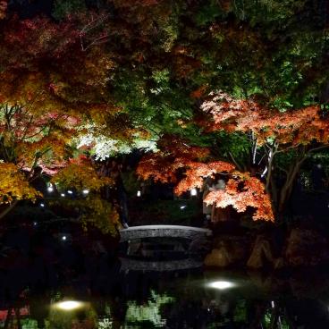 Otaguro Park (Tokyo), Night view on the Japanese garden's stone bridge in autumn