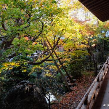 Eikan-do Temple (Kyoto), Garden at the beginning of autumn 3