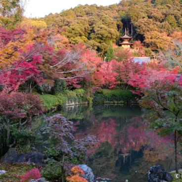 Eikan-do Temple (Kyoto), View on the pagoda and the garden in autumn
