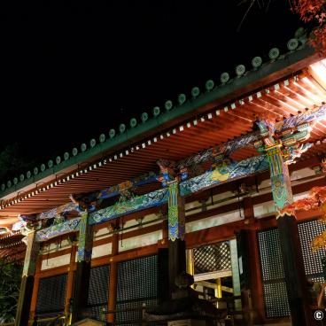 Eikan-do Temple (Kyoto), Detail of the decorative paintings