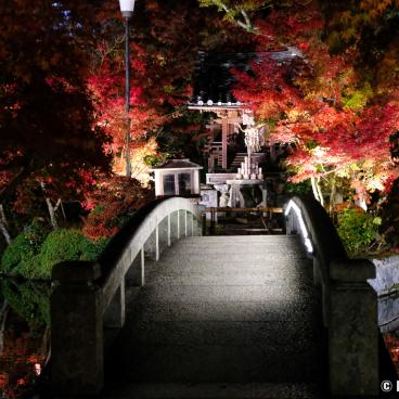 Eikan-do Temple (Kyoto), Night illuminations and stone bridge in autumn