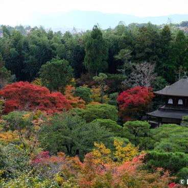 Ginkaku-ji, View on northern Kyoto and the temple's grounds in autumn