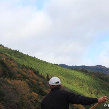 Hozugawa kudari (Kameoka), Cruise with a Japanese guide