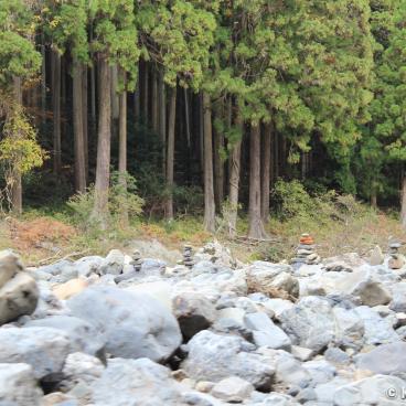 Hozugawa kudari (Kameoka), View on the forest