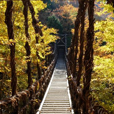 Iya Valley in Shikoku, Suspended bridge